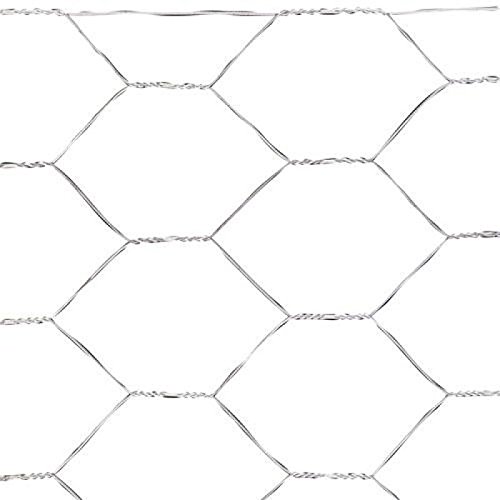 Papillon 1170975 – Trellis Triple Torsion 31/80 cm, Rolle 50 m, Home Use