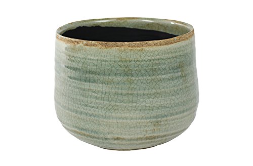 Ivyline 136329 D18 H15Como Mint Pot - Green