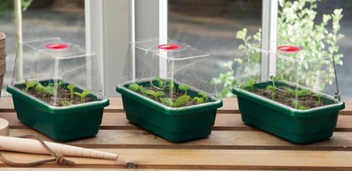 Garland GAL18MP3 3 x Mini High-Dome Propagators, Green, 13x17x13 cm