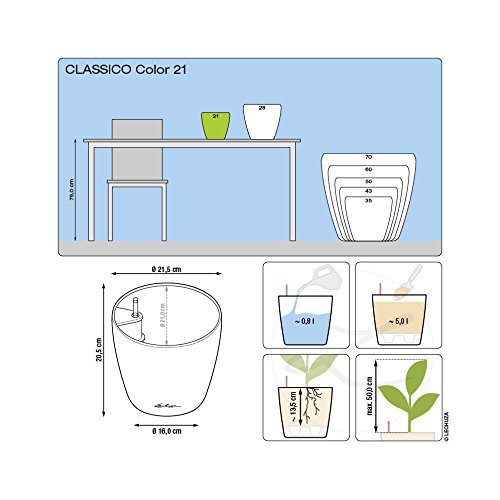 Lechuza CLASSICO Color 21 Self Watering Planter Plastic Indoor and Outdoor Flower Plant Pot with Drainage Hole D21 H20 cm Nutmeg - Image 4