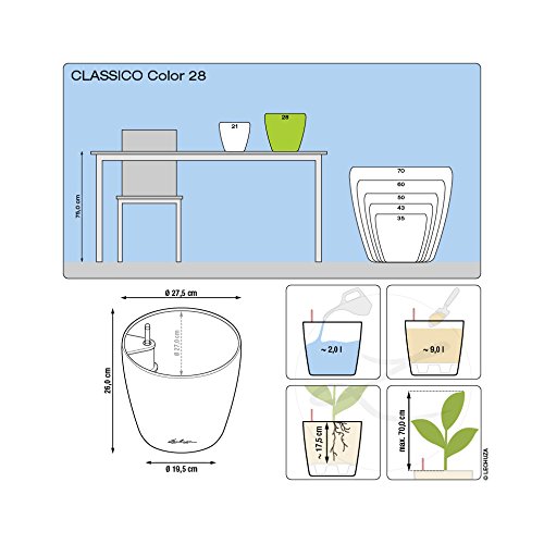 LECHUZA CLASSICO Color 28 Self Watering Planter Plastic Indoor and Outdoor Flower Plant Pot with Drainage Hole D28 H26 cm White - Image 4