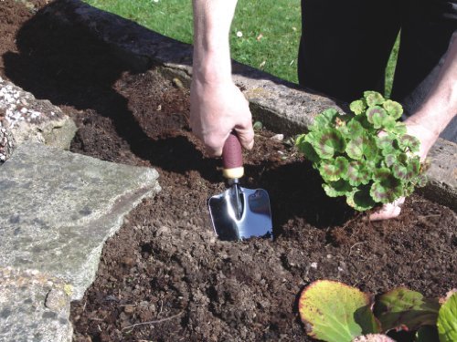 C.K G5730 Garden Trowel, Red/Beige/Silver A - Image 2