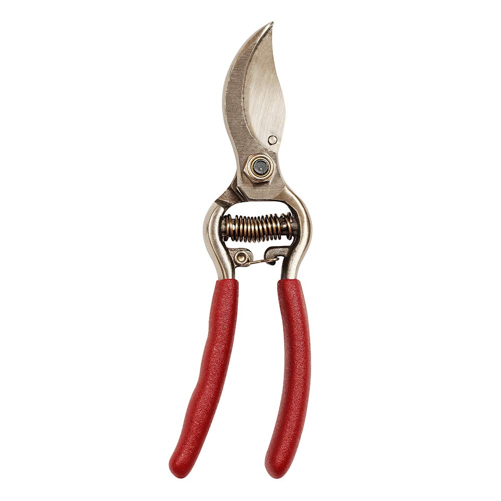 Kent & Stowe K/S70100780 Secateurs-Bypass