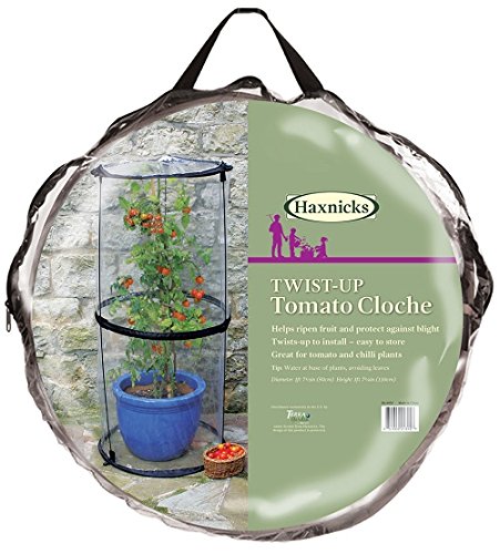 Haxnicks Pop-Up Tomato Cloche, Transparent, 50x50x110 cm