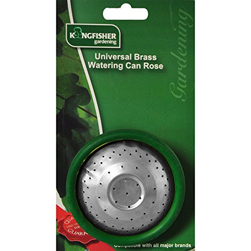 Watering Can Rose, Transparent, 3.35 x 3.35 x 2.36
