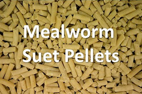 Supa Mealworm Suet Pellets for Wild Birds 1 Litre Bucket, Beige, 1 kg (Pack of 1) - Image 2