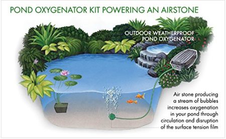 Blagdon Pond Air 1 Pump System - Image 4