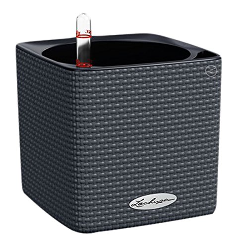 Lechuza CUBE Color 14 Self Watering Planter Small Plastic Indoor Plant Pot without Drainage Hole Slate Grey 13384