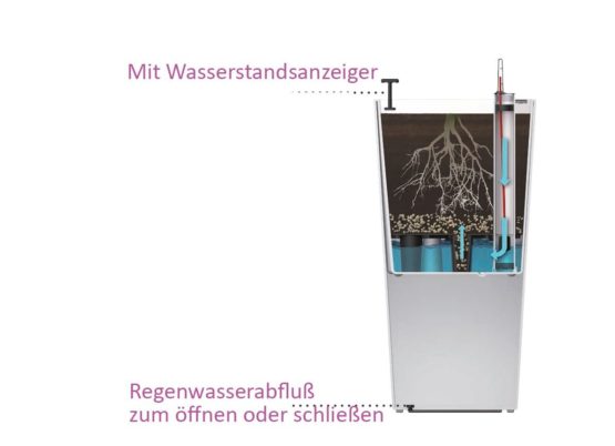 Dehner Elise Plastic Planter with Self-Watering System - Image 2