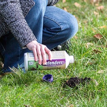 Defenders Mole Repellent Scatter Granules - 450g (Humane, Natural Mole Deterrent, Covers up to 45 sq m) - STV651 - Image 3