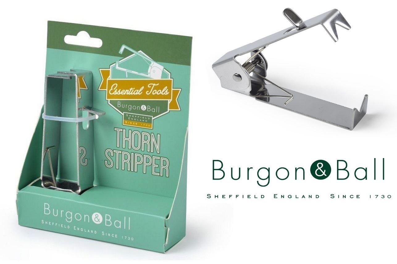 Burgon & Ball GES/THORN Thorn Stripper - Image 2