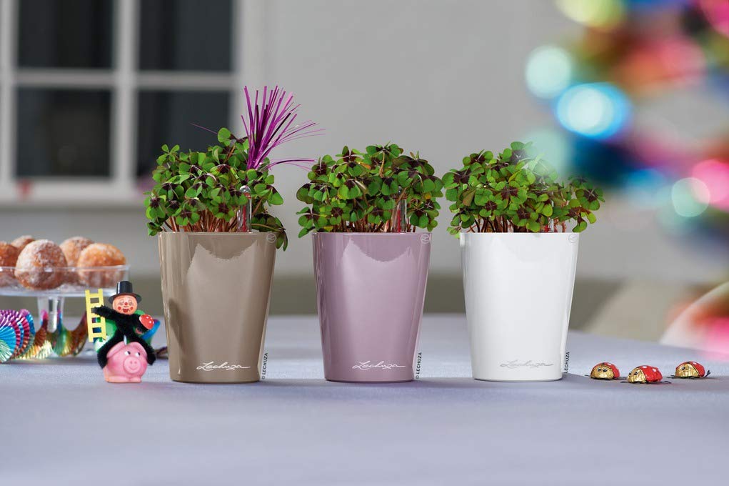LECHUZA Self Watering Plant Pot MINI DELTINI Small Plastic Indoor Plant Pot without Drainage Hole D10 H13 cm White High-Gloss - Image 3