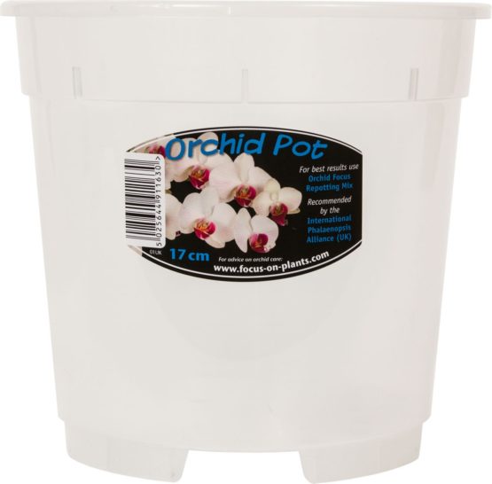 Clear Orchid Pot 17cm