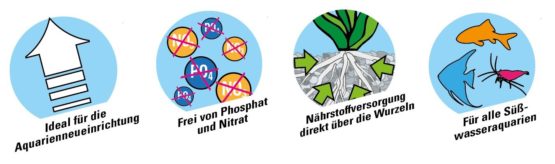 Tetra Planta Start - Image 2