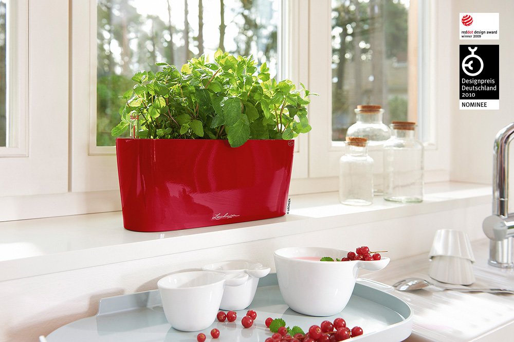 LECHUZA Self Watering Plant Pots Indoor DELTA 10 Plastic Flower Window Box Small Herb Planter without Drainage Hole D35 H30 cm Red High-Gloss - Image 3