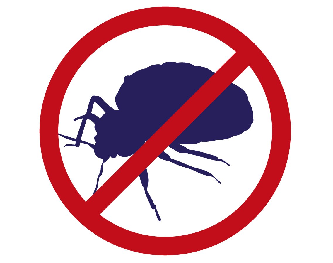 Zero In ZER968 Bed Bug Killer Spray 300 ml, Blue - Image 2
