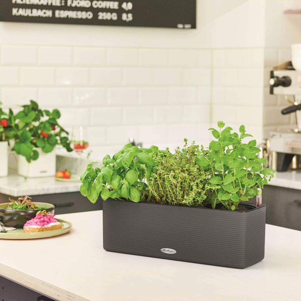 Lechuza CUBE Color Triple Self Watering Planter Plastic Indoor and Outdoor Hanging Plant Pot with Drainage Hole H14 L40 W14 cm Slate - Image 4