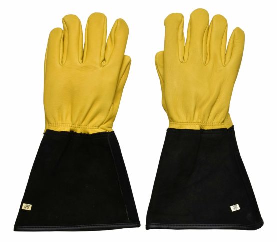 Gold Leaf Tough Touch Gloves - Gents - Image 2