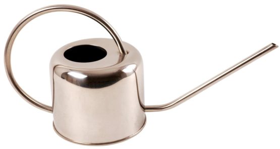 Fallen Fruits TG44 1 Litre Watering Can