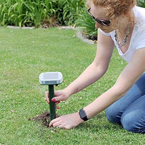 The Big Cheese Hi-Vis Mega-Sonic Solar Mole Repeller Spike. Solar Powered Weather-Resistant Mole Deterrent for Continuous Protection of Lawn and - Image 4