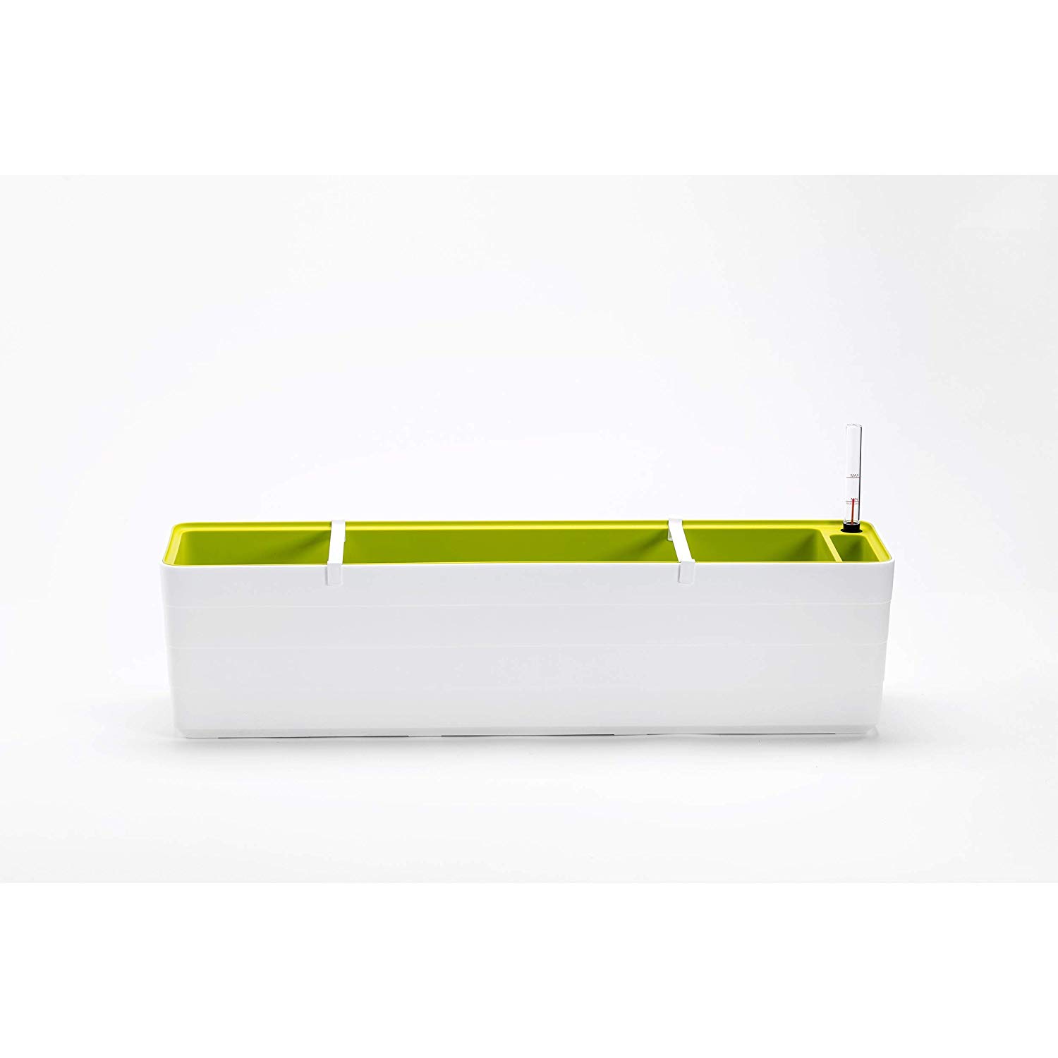 Plastia Berberis - 80cm - White & Green