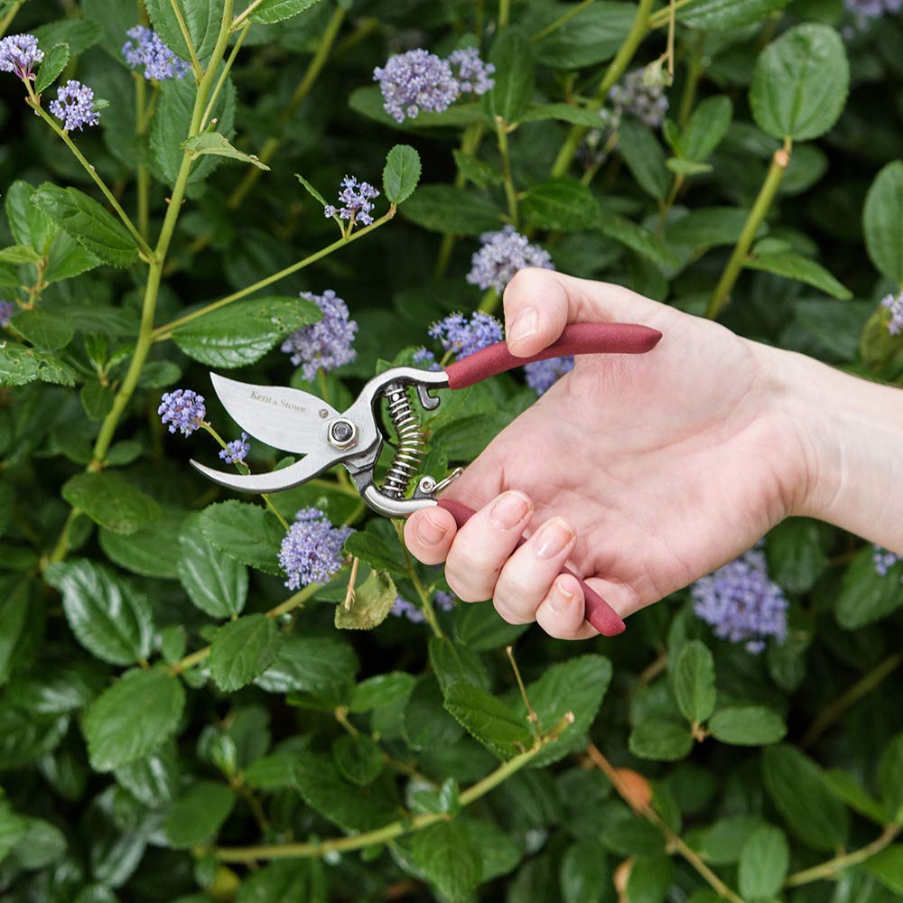 Kent & Stowe K/S70100780 Secateurs-Bypass - Image 2