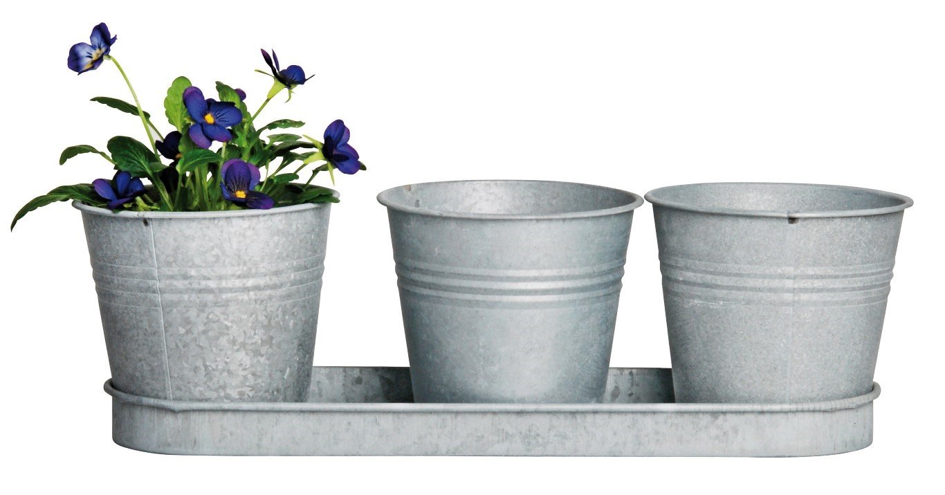 Fallen Fruits OZ22 Old Zinc 3 Pots on a Tray, Grey