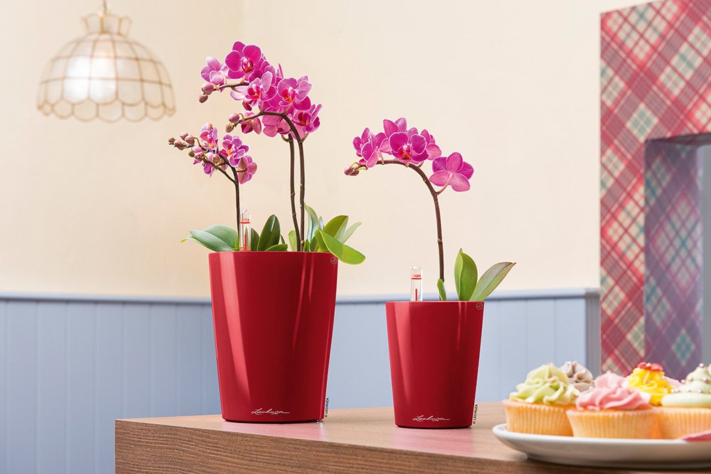 LECHUZA Self Watering Plant Pot DELTINI Small Plastic Indoor Plant Pot without Drainage Hole D14 H18 cm Scarlet Red High-Gloss - Image 3