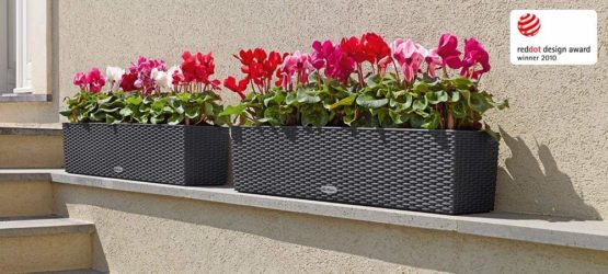 Lechuza BALCONERA Cottage 80 Self Watering Planter Indoor/Outdoor Flower Plant Pot Table and Window Box with Drainage Hole and Plant Substrate Poly-Resin H19 L80 W19 cm Granite - Image 3