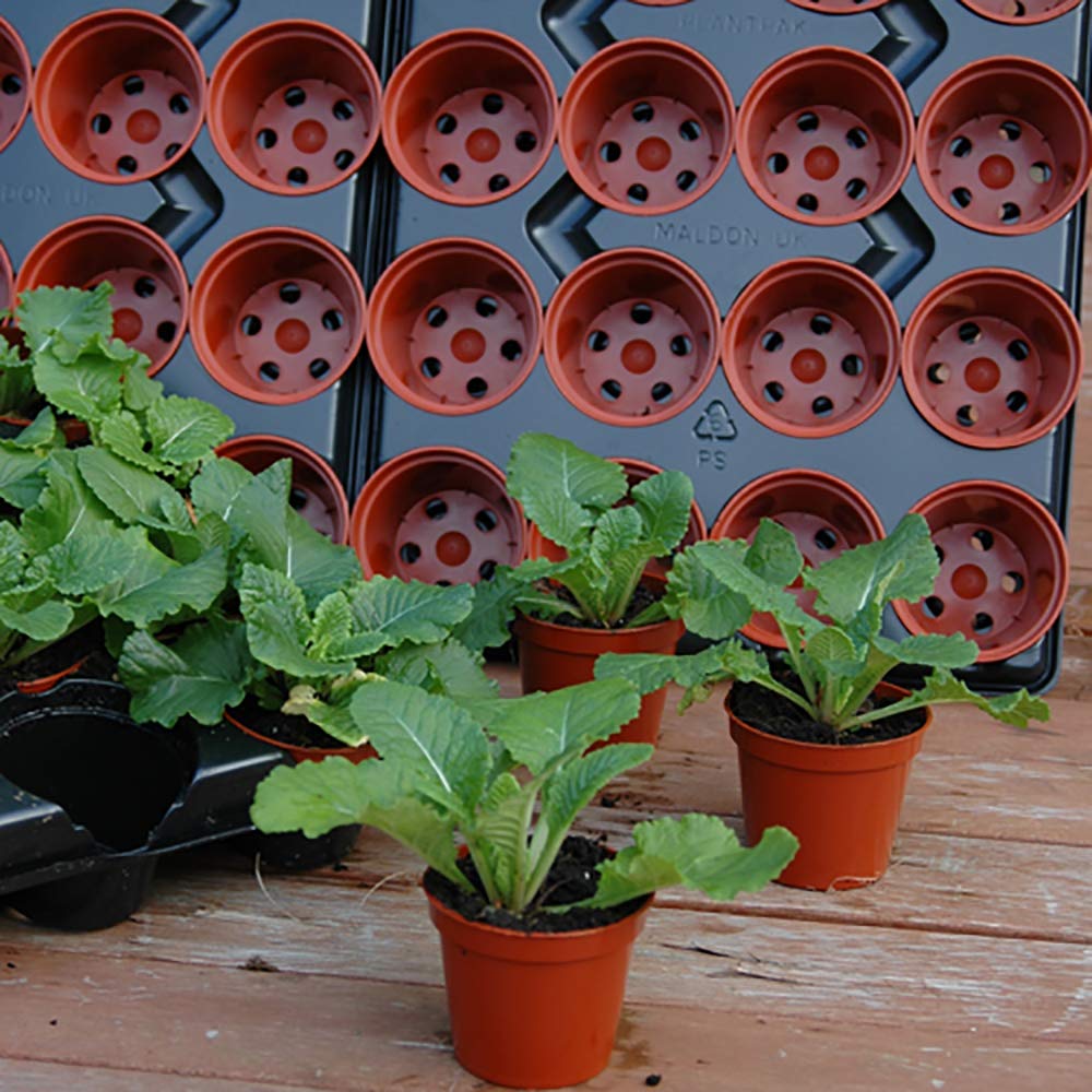 YouGarden Professional Shuttle Large Trays, 90 Pots 9cm Diameter With Drainage Holes, Sturdy Plastic Plant Pots - Image 2