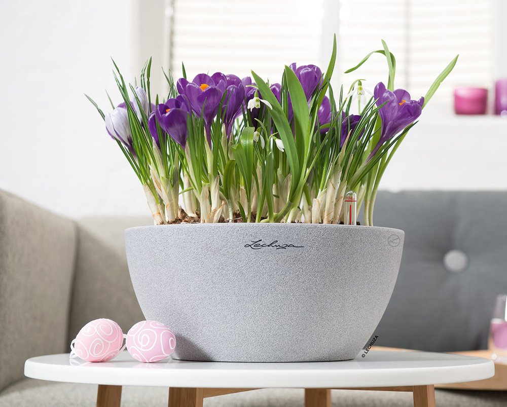 Lechuza Self Watering Plant Pot CUBETO Stone 30 Garden Flower Indoor and Outdoor Plastic Planter with Drainage Hole D30 H13 cm Stone Grey - Image 3