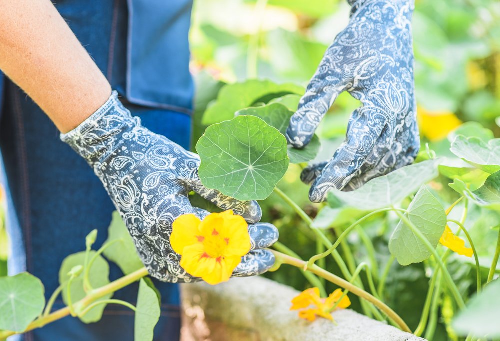 GardenGirl RRH12L "Chelsea Paisly Print" Weeding Gloves - Blue - Image 2