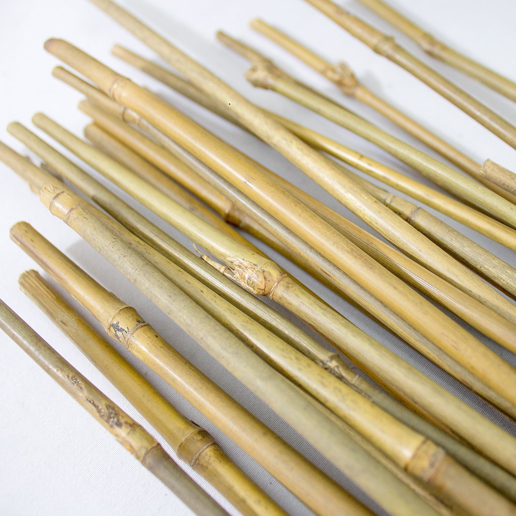 PLANT IT 10-480-060 4 ft Bamboo Stakes - Beige (Pack of 25) - Image 4