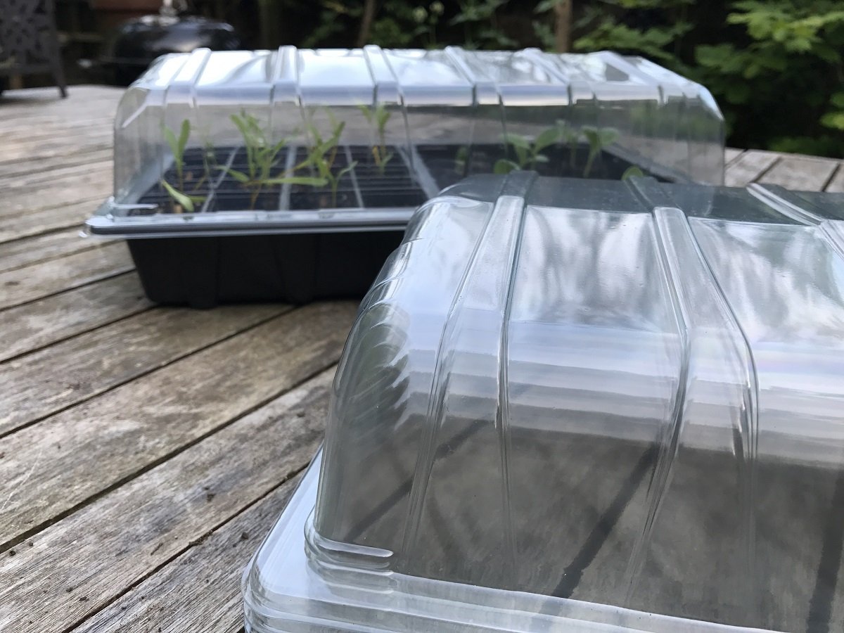 Nutley's Full-Size Heavy Duty Transparent Durable Plastic Propagator Lids for Seed Tray - (Pack of 3), British Made - Image 2
