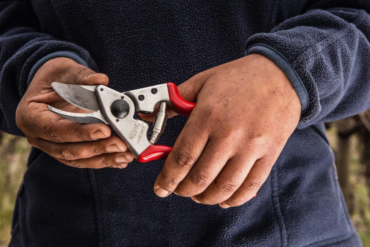 Felco 16 Secateurs Left Handed Medium Size Forged Alloy Ergonomic Handles Floristry Gardening Horticulture Vineyard Bonsai Topiary Olive Grove - Image 2