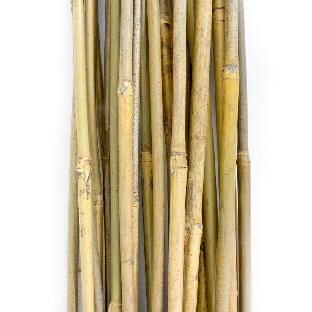 PLANT IT 10-480-060 4 ft Bamboo Stakes - Beige (Pack of 25) - Image 2