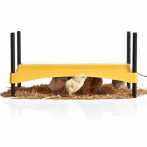 Brinsea EcoGlow Safety 1200 Chick Brooder - Chick Brooder Heat Plate for Chicks - Heat Lamp Replacement - Made in Great Britain