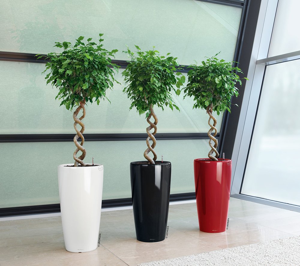Lechuza RONDO 40 Self Watering Planter Large Plastic Indoor and Outdoor Plant Pot with Drainage Hole D40 H75 cm White High-Gloss - Image 3