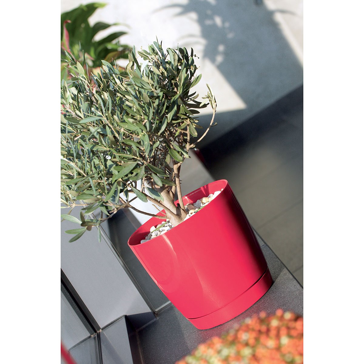 Prosper Plast DUOP240-426U 24 x 22 cm "Coubi" Flowerpot - Dark Grey, 24x24x22 cm - Image 3