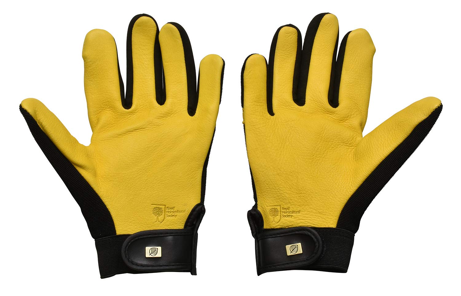 Gloves - Image 3