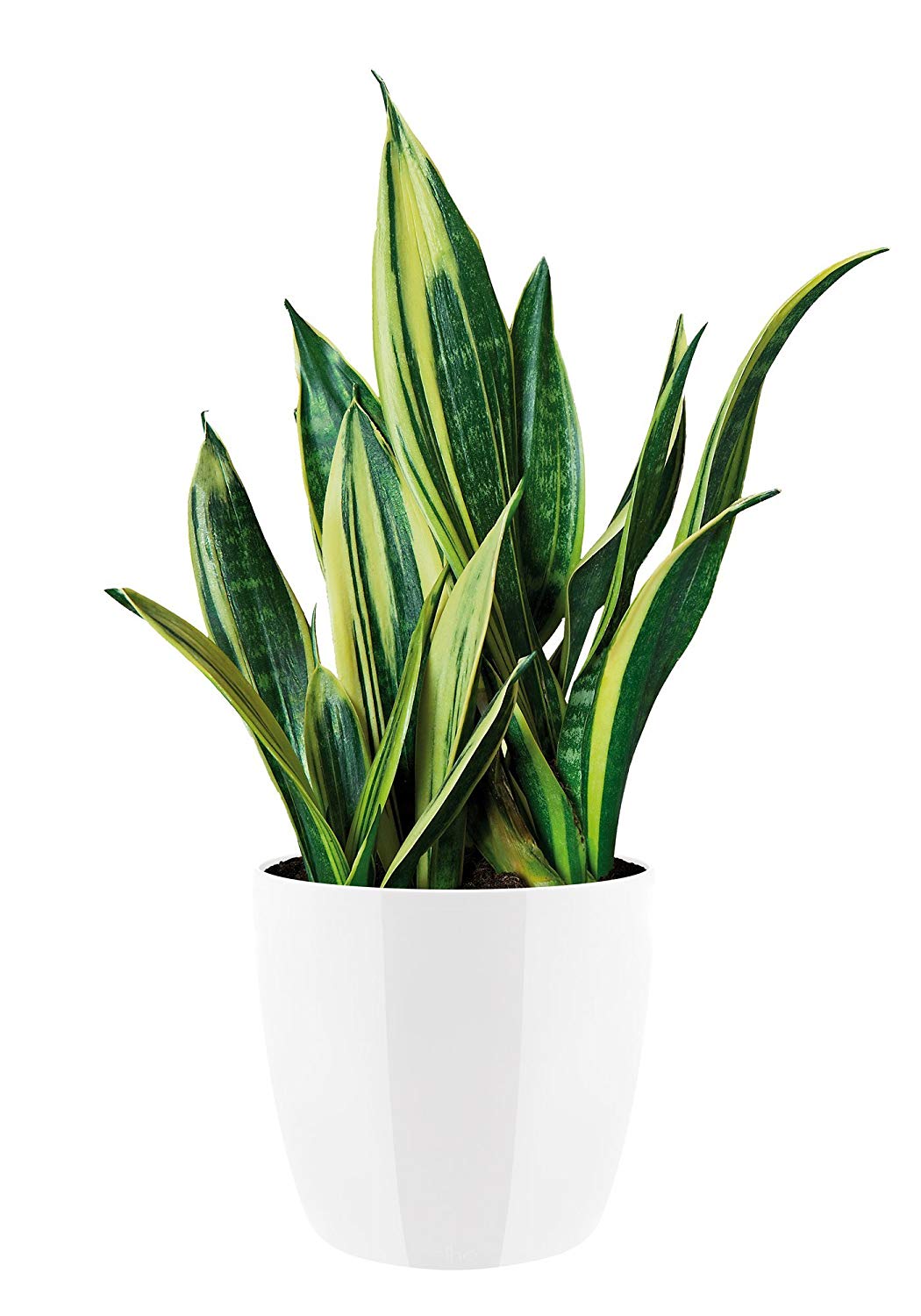 elho Brussels Diamond Round 25 - Flower Pot Indoor - 100% Recycled Plastic - Ø 25.2 x H 23.0 cm - White/White - Image 3