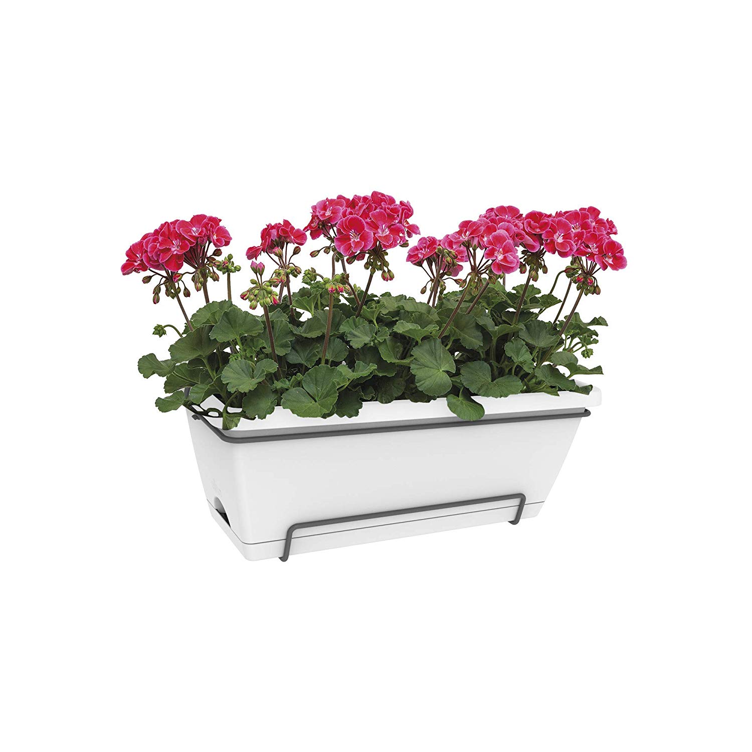 elho Barcelona Xl Allin1 55 - Planter for Balcony & Outdoor - Ø 54.5 x H 23.0 cm - White/White - Image 4