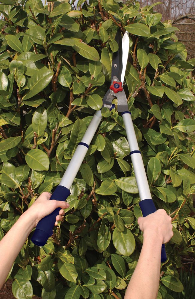 Spear & Jackson 8120RS Razorsharp Telescopic Hedge Shears - Image 2