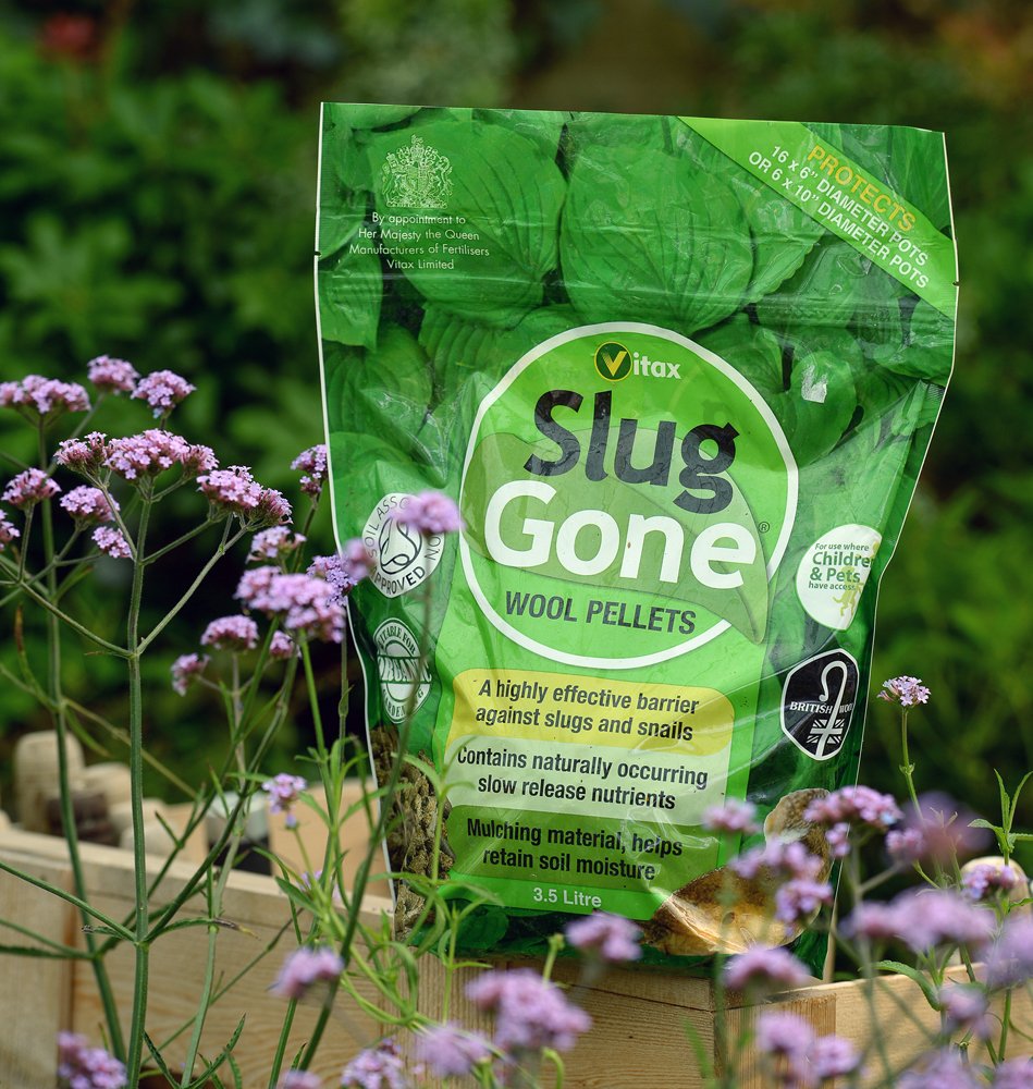 Vitax Slug Gone Wool Pellets, Natural, Organic Barrier To Protect Borders, Pots & Containers From Slugs And Snails, Long Lasting - 3.5L - Image 3