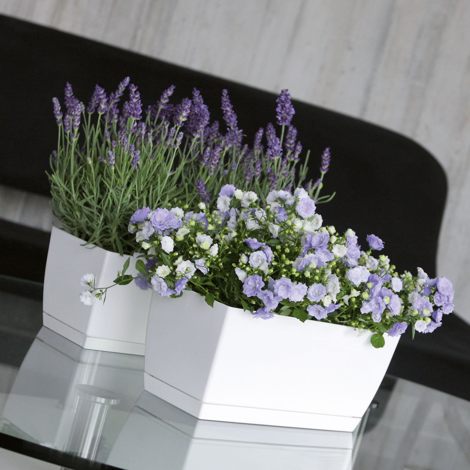 Prosper Plast DUPP400-S449 39 x 19 x 18.2 cm "Coubi" Box Planter - White - Image 3
