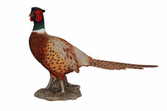 Vivid Arts Size-A Real Life Pheasant