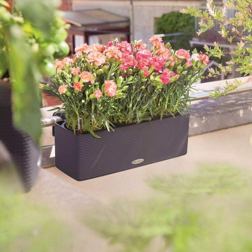 Lechuza CUBE Color Triple Self Watering Planter Plastic Indoor and Outdoor Hanging Plant Pot with Drainage Hole H14 L40 W14 cm Slate - Image 3