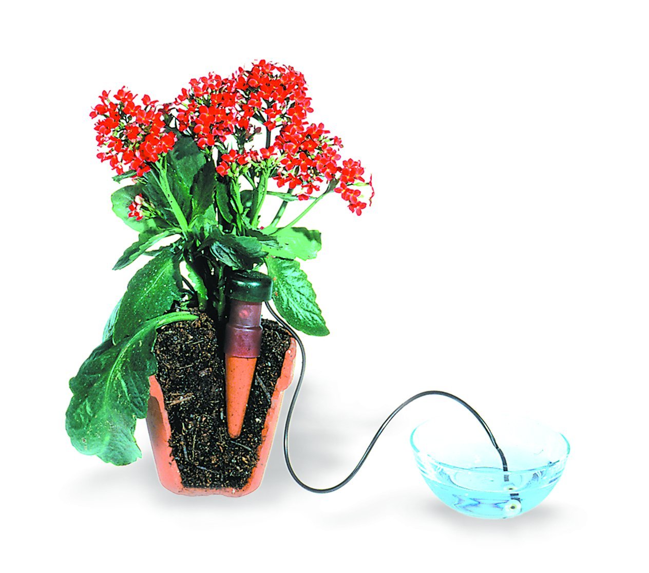 Blumat 12500 Junior Counter Display Box Automatic House Plant Watering - Image 2