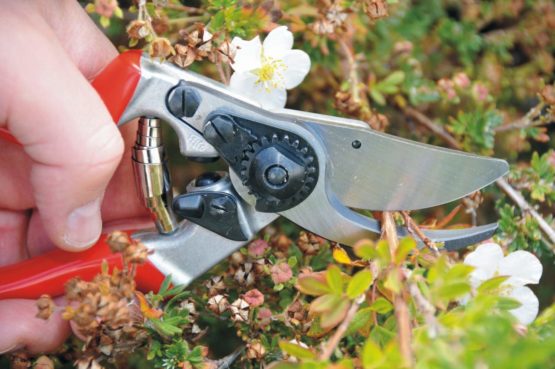 FELCO Model 9 Secateurs (Large, Left-Handed) - Image 3