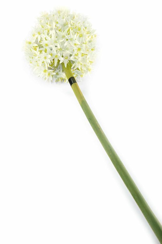 Floral Elegance Artificial 89cm Single Stem White Allium Flower